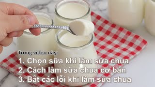 All about making yogurt at home and 5 common mistakes [ENGSUB]