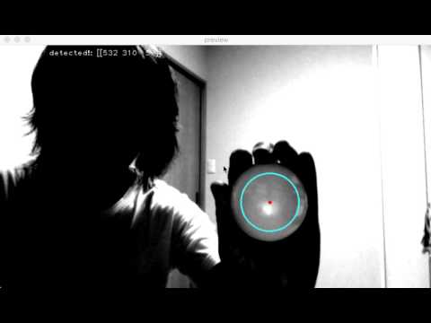 Ball Tracking（円検出を利用した球体追跡）