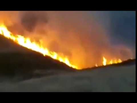 تصویری: چگونه از آتش سوزی جنگل جلوگیری کنیم