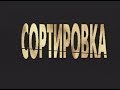 СОРТИРОВКА. Спецпроект Телевизионного Агентства Урала (ТАУ)1997 год.