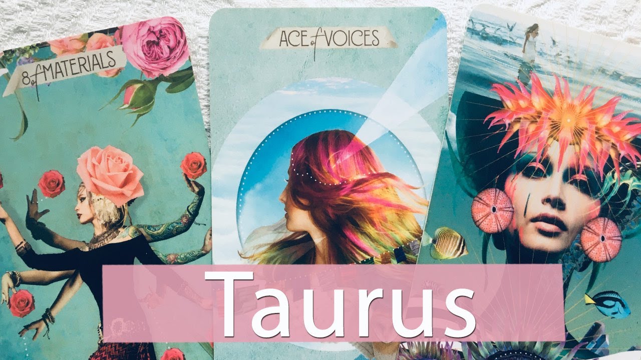 TAURUS - They know they need to take the lead. Going about it the right way at the right time