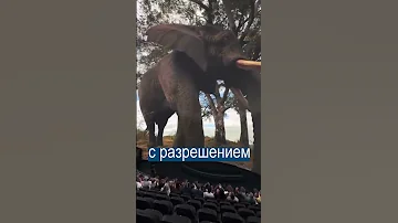 Нереальный кинотеатр ВНУТРИ СФЕРЫ Лас-Вегаса