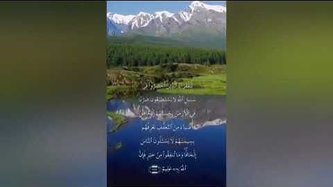 سورة البقرة صفحة ٤٦ مكتوبة مكررة بصوت عذب