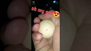 the hen baby is coming | don't miss this video |  amazing video screenshot 5