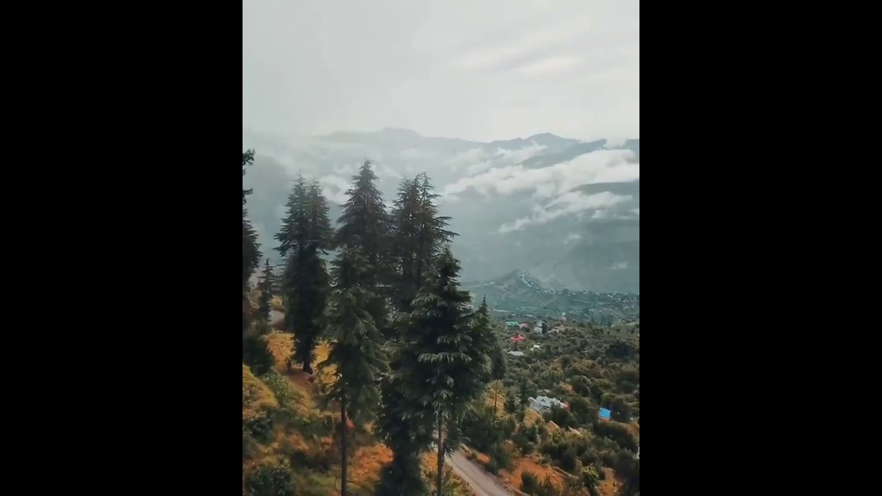 #7 My Dream Place Shimla for Fun with Family nd Friends🌨️☃️,Bikes – friends