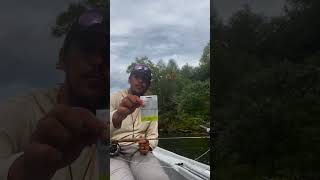 How To Set Up Your South Holston Bottom-Bounce Rig