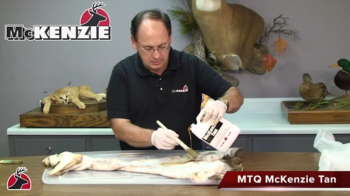 MV104 Tanning Part 4  Tanning the Hide for Taxidermy HD