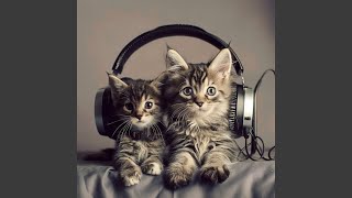 Relaxing Pet Chords