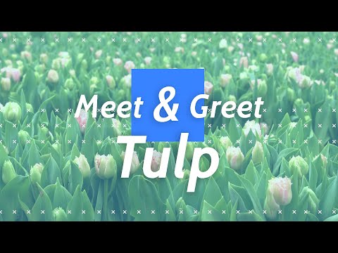 ?? Meet & Greet Tulp | Heemskerk Flowers