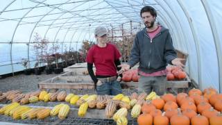 Drunkin' Punkin' Pies made with fresh, Cloud Mountain Farm Pumpkin Cloudmountainfarm
