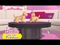 Latinoamérica: Life in the Dreamhouse - Mascotas al mayoreo