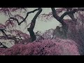 渡り鳥仁義(都春美唱)