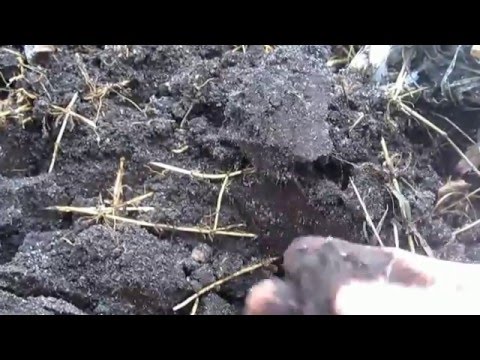 Супер способ получения, экстра грунта для растений. Как сделать комбигрунт для рассады и огорода.