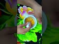Lays crush(ASMR) part 2