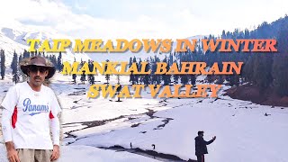 Snow Tape meadows mankiyal Bahrain swat valley on foot track tourism Pakistan 10 April 2024 #youtube