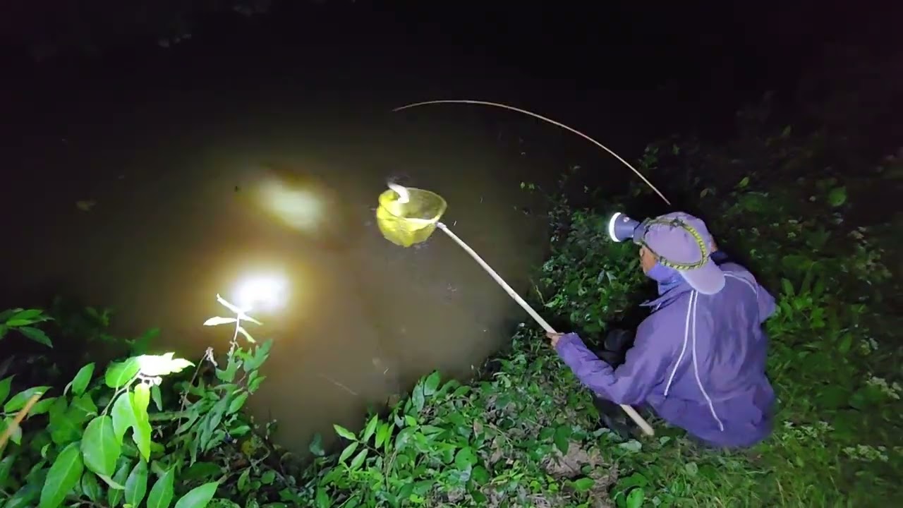 ปักเบ็ด เหยื่อลูกปลา ฤดูหนาว