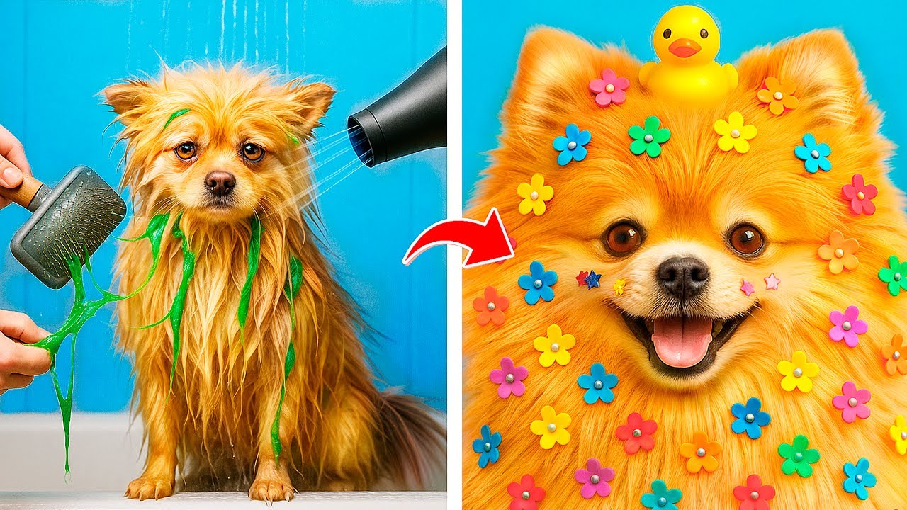 わんちゃんが家にきた！わんこのおせわの裏技をおしえるよ！