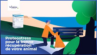 Vidéo youtube produit ID 5973