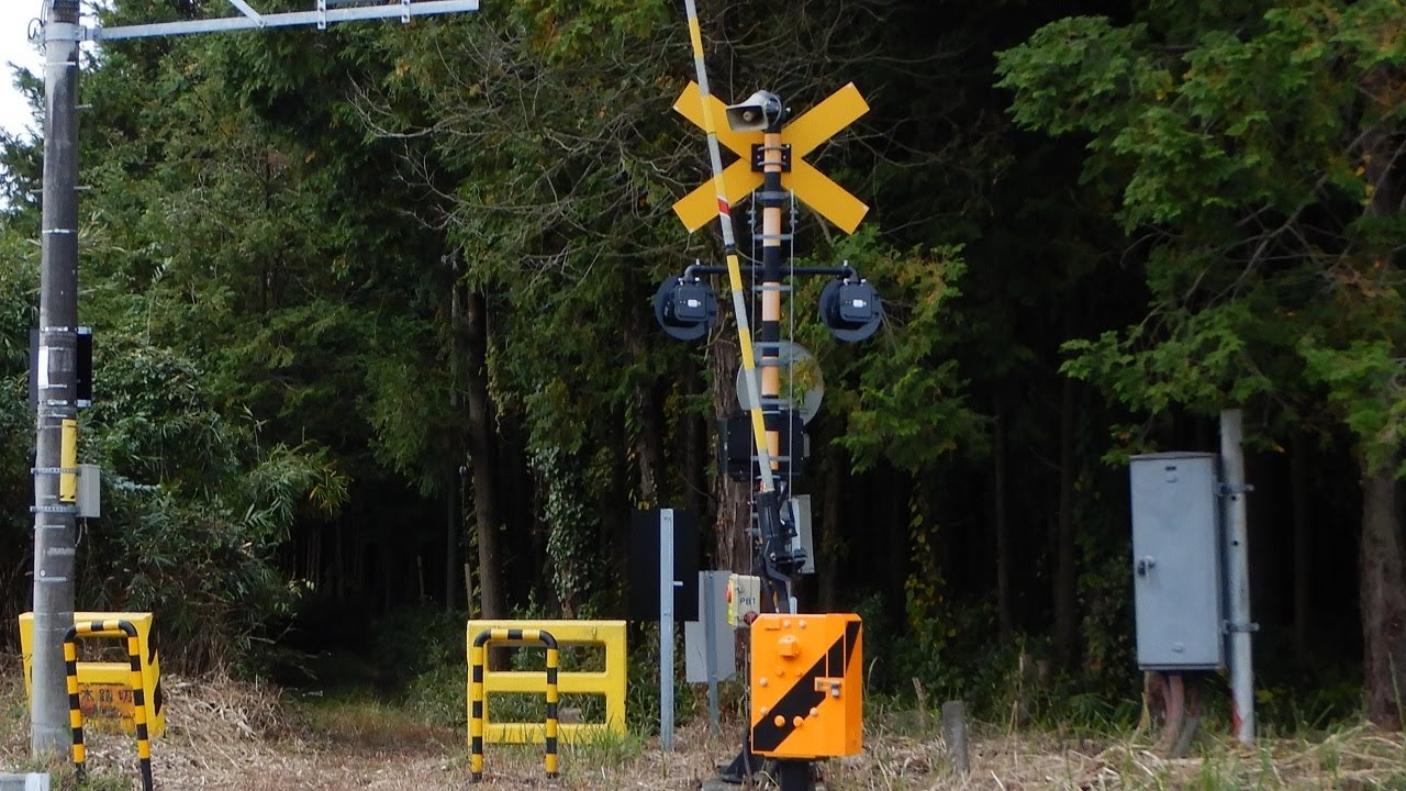 踏切】JR常磐線 森を抜けた先にある踏切 (Railroad crossing in