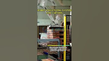 Robot palletizing system for cartons #packaing#robot#palletizer#foryou