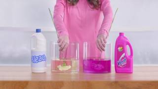 Vanish Stain Removal