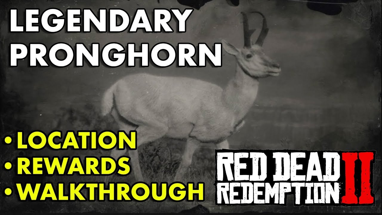 вилорог бежит быстрее всех. вилорог. легендарный вилорог. легендарный вилорог в рдр 2. Red dead redemption 2 вилорог.