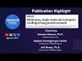 Multi-Pass, Single-Molecule Nanopore Reading of Long Protein Strands