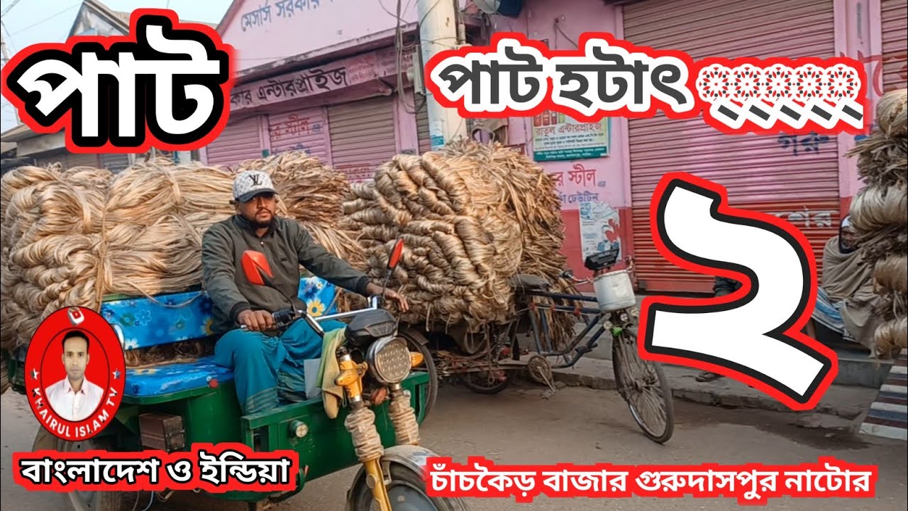 আজকের পাটের দাম ২৭-০২-২৬ | চাঁচকৈড় বাজার আপডেট | গুরুদাসপুর নাটোর পাটের সর্বশেষ খবর