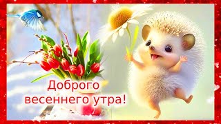 Доброго Весеннего Утра! Хорошего Дня!