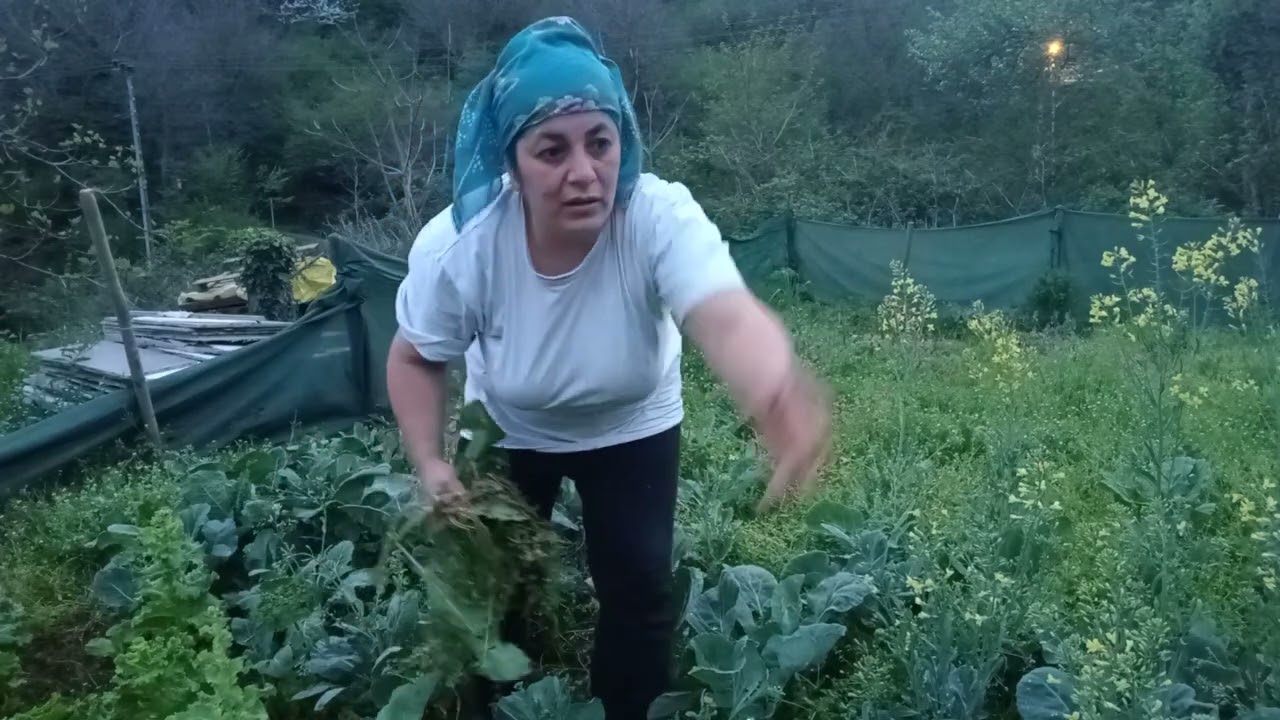 ormanımı begenmeyenler bu güzellikler ormanda yetisiyor hasetler izleyin görün bahçe böyle beretli