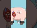 Pig Heart In A Human The Future Of Transplants Is Here Animation Funny Shorts