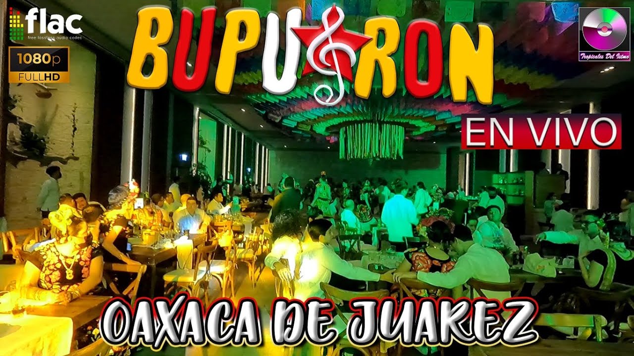 Búpu & Ron - Son de La Luna En vivo Oaxaca De Juarez - YouTube