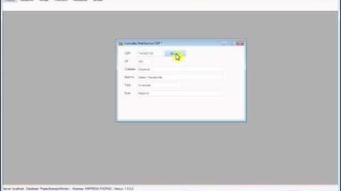 Windev 20/21 - Consulta WebService CEP