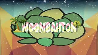 Moombahton & Reggaeton type Beat 2020 /\