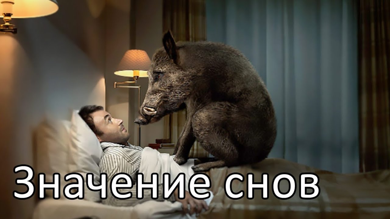 короткие страшные сны