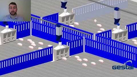 Gestal EVO Opti - The new approach to nutrition