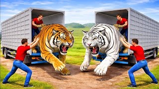 Animal Cargo Truck Driving Game 3D - Animal Transport Cargo Truck 2026 - Android Gameplay