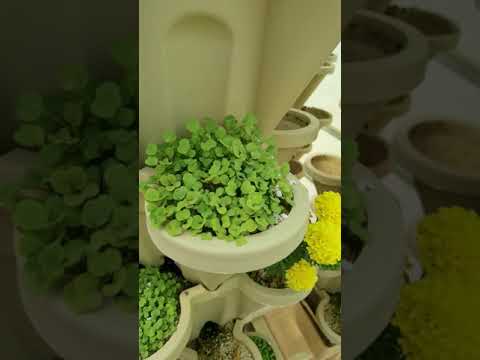 معلومات عن اضافة الاملاح في محميتي