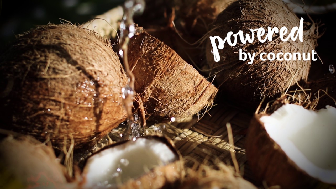 Say Aloha to Kopari Beauty