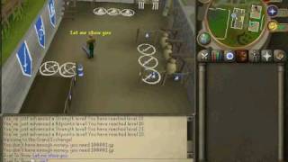 Zuflin 508 Private Server Advert Grand exchange (GE)
