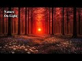 Nature Ambience - Spring Ambient Piano - Calm Night (Long Mix)