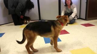 Sunday at Petco Milltown