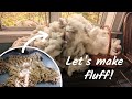 Processing a Raw Sheep Fleece Mp3 Song
