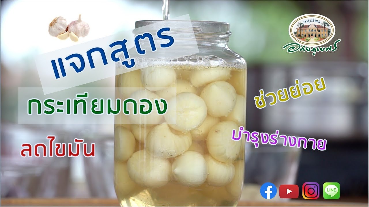 กระเทียมดอง ลดไขมันในเลือด l สมุนไพร DIY