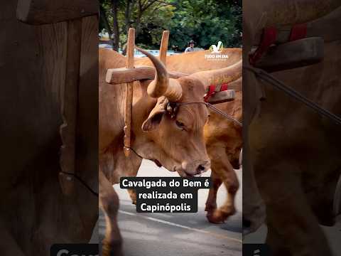 Cavalgada do Bem reúne cerca de 800 participantes em Capinópolis