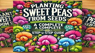 How to plant Sweet Peas from seeds