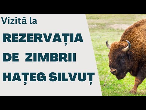 Video: Rezervația Erzi - perla naturală a Ingușetiei