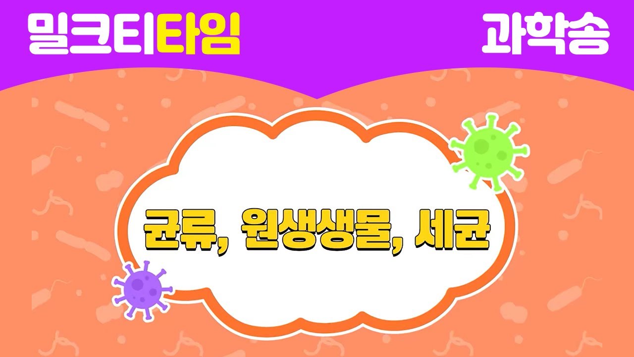 [신나고 재미있게 배우는 과학] 4-1-4 다양한 생물과 우리 생활 | 밀크티타임 | 과학송 | 균류, 원생생물, 세균