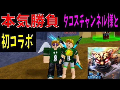 本気PVP！？タコスチャンネル様と神コラボ！　Blox Fruits（ブロックスフルーツ）攻略【ROBLOX(ロブロックス)】