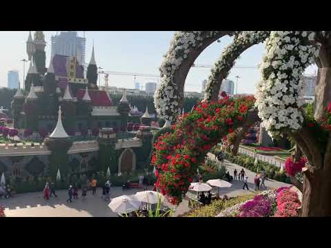 UAE, Dubai, Miracle garden